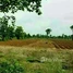  Land for sale in Thailand, Bo Rang, Wichian Buri, Phetchabun, Thailand